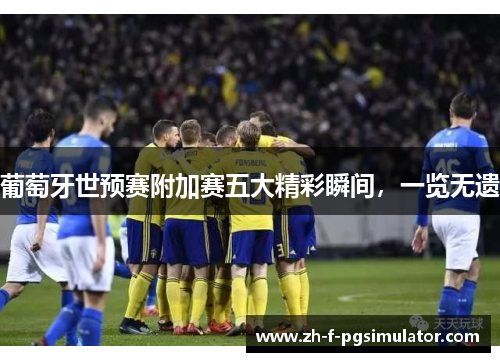 葡萄牙世预赛附加赛五大精彩瞬间，一览无遗