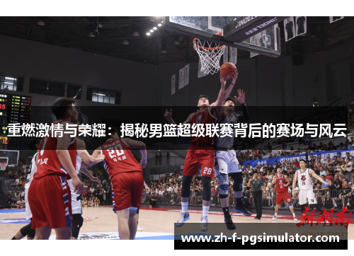 重燃激情与荣耀：揭秘男篮超级联赛背后的赛场与风云
