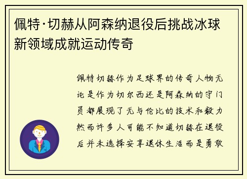 佩特·切赫从阿森纳退役后挑战冰球新领域成就运动传奇 佩特·切赫从阿森纳退役后挑战冰球新领域成就运动传奇